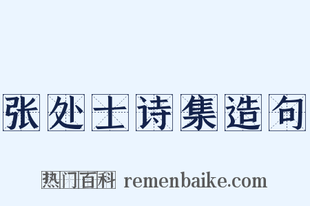 张处士诗集造句是什么意思的图片